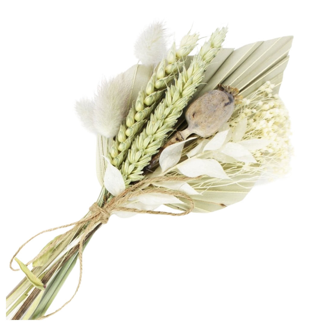 Natural Dried